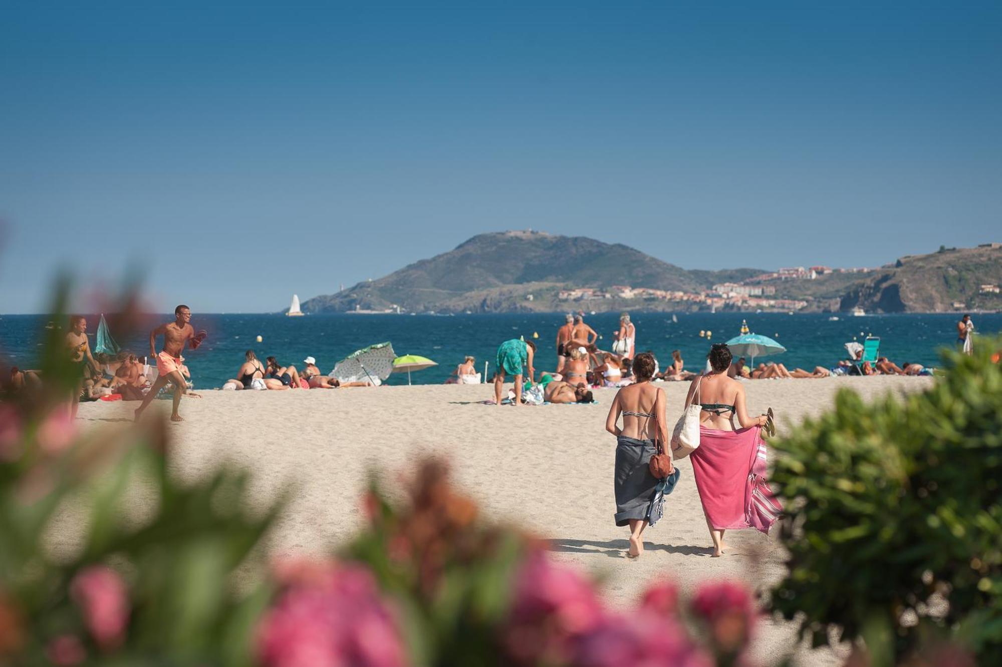L'Hotel Du Mediterranee アルジェレス・シュル・メール エクステリア 写真