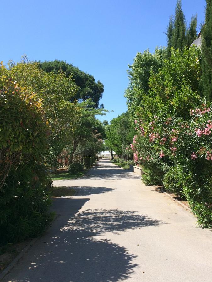 L'Hotel Du Mediterranee アルジェレス・シュル・メール エクステリア 写真